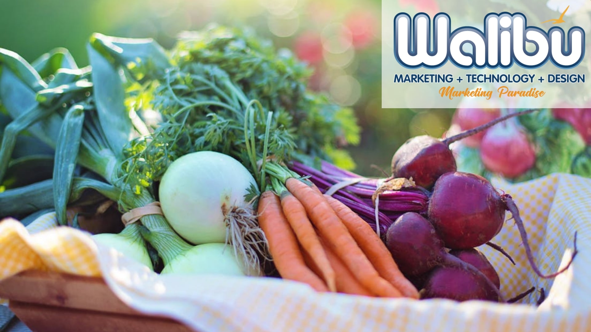 Go Organic - SEO