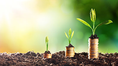 5 Ways to Grow your Business Starting NOW!