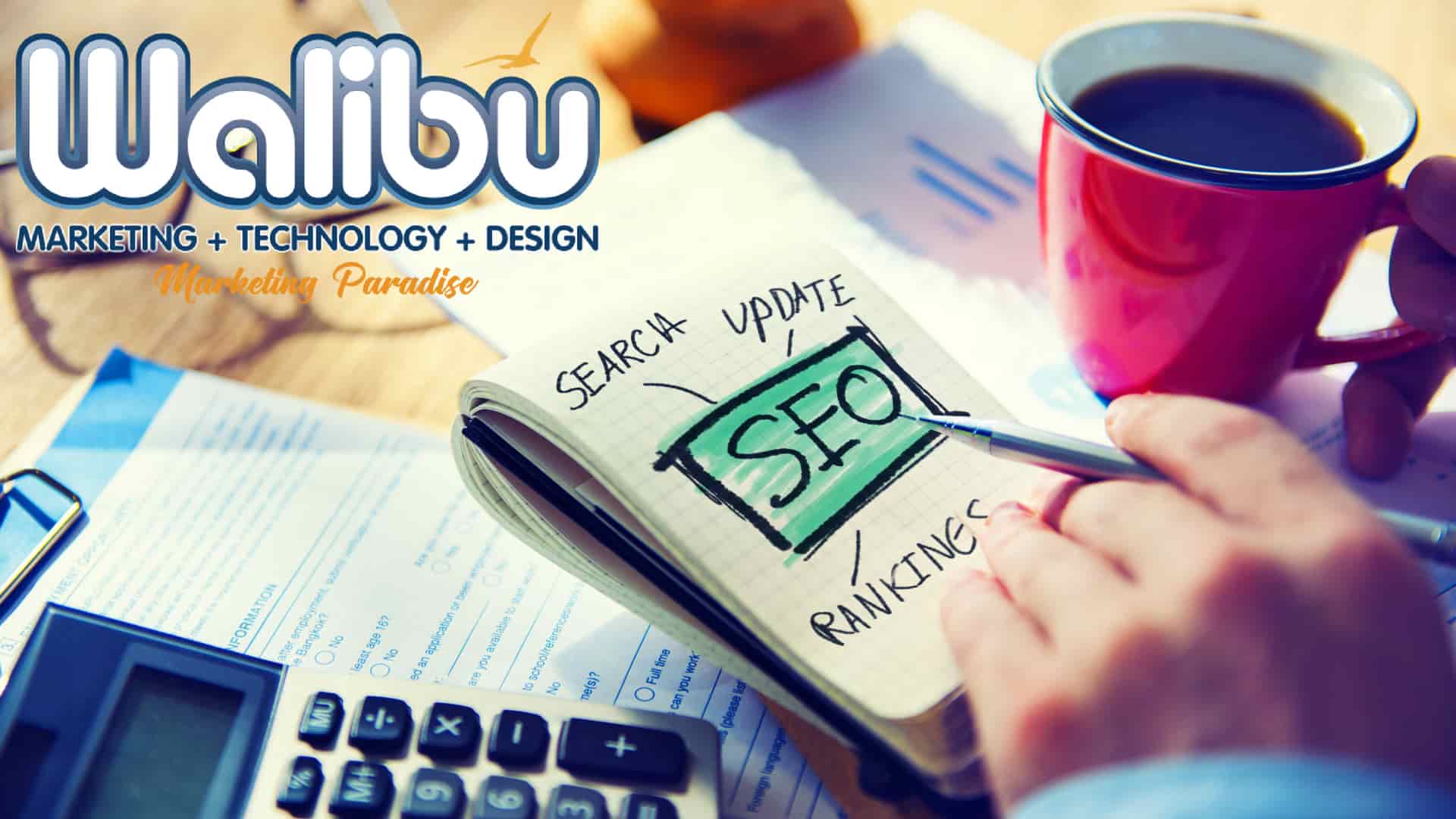 SEO and Content Marketing Insights