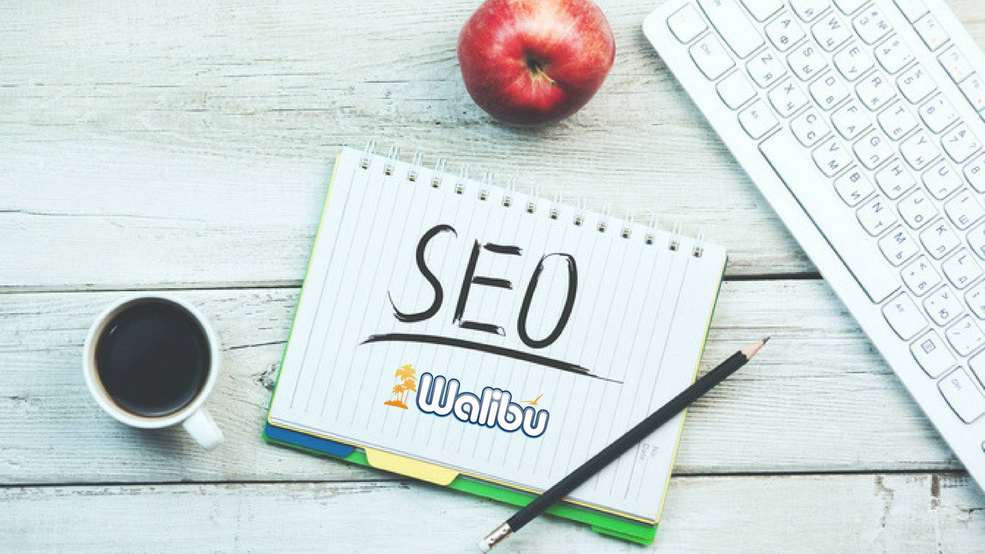 SEO & Intro Level Digital Marketing Strategies