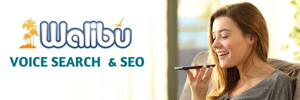 Voice search and SEO