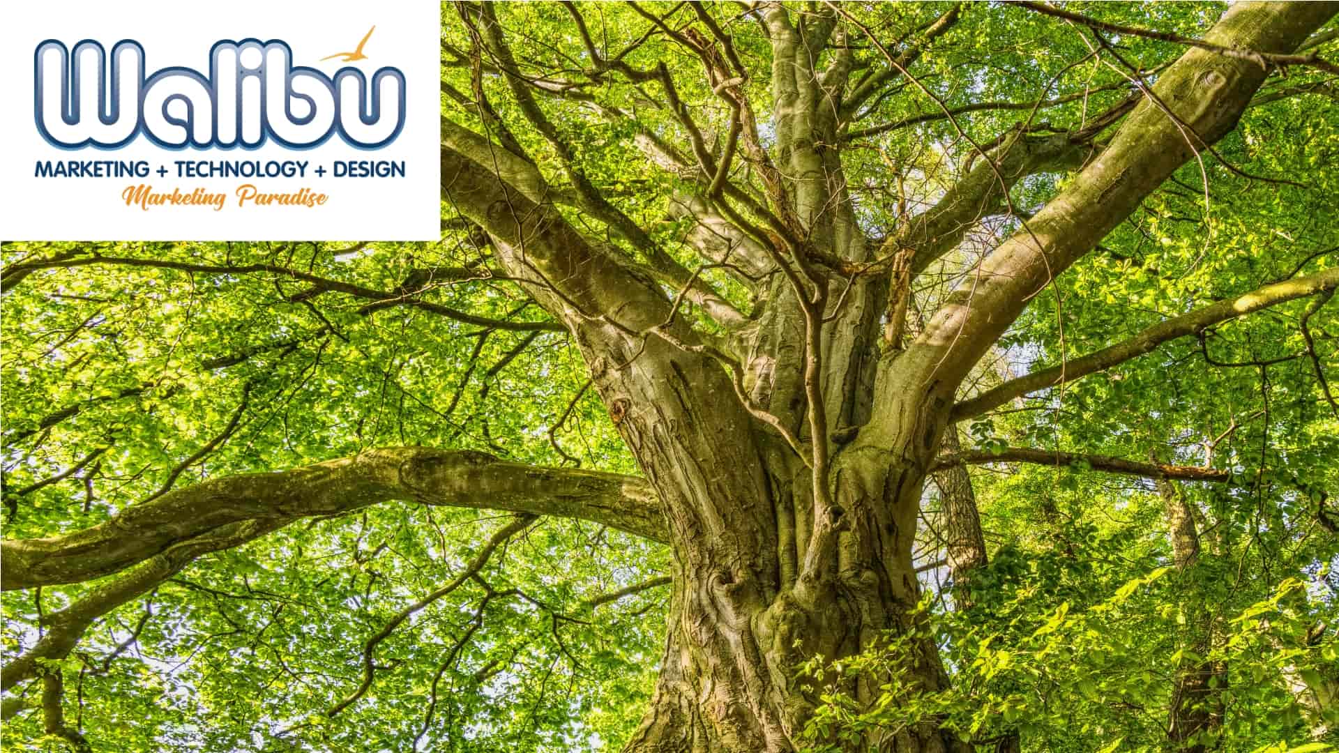 SEO is Evolving, Are You?