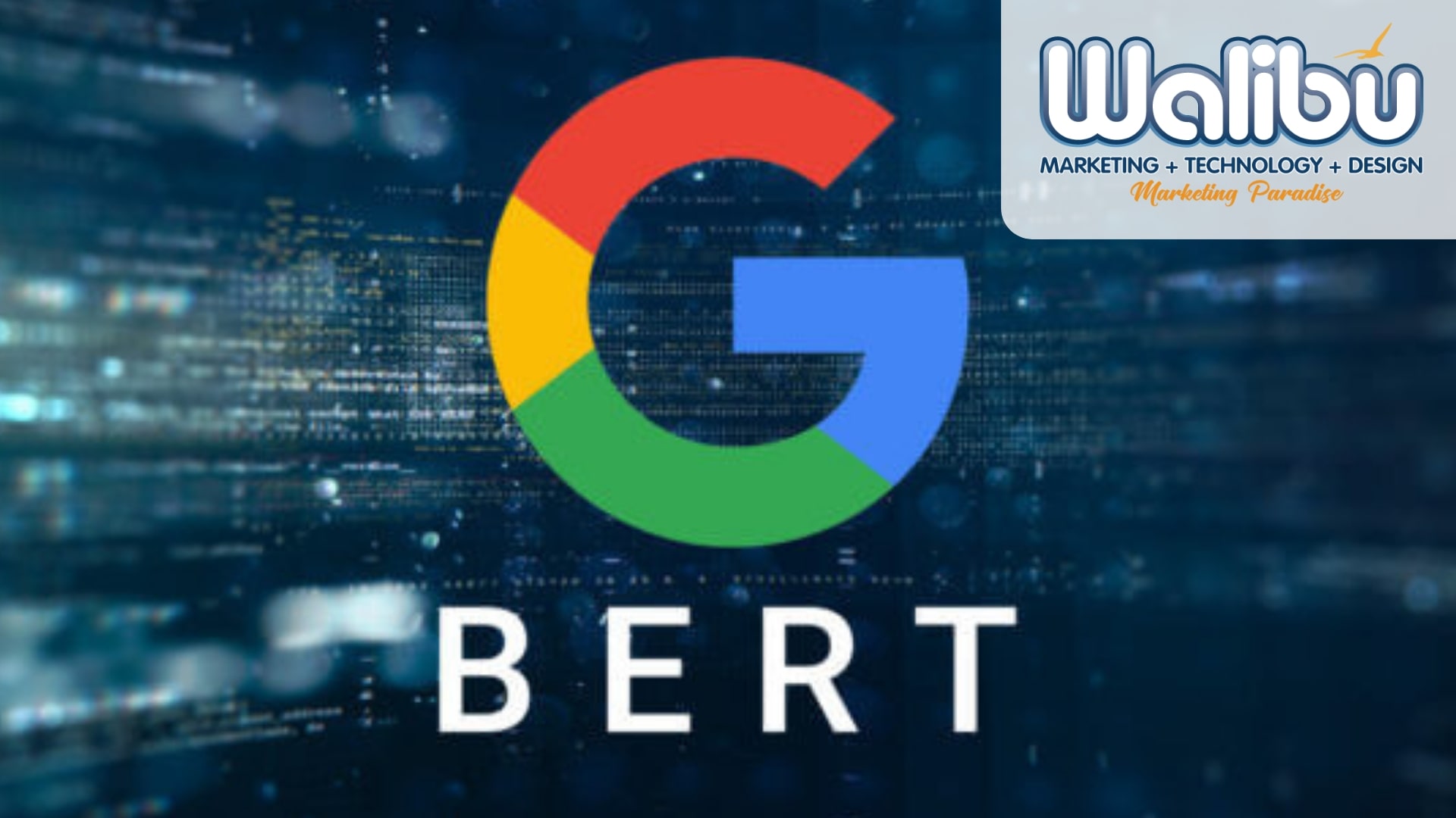 Everything You Need to Know About Google’s Latest BERT Update!