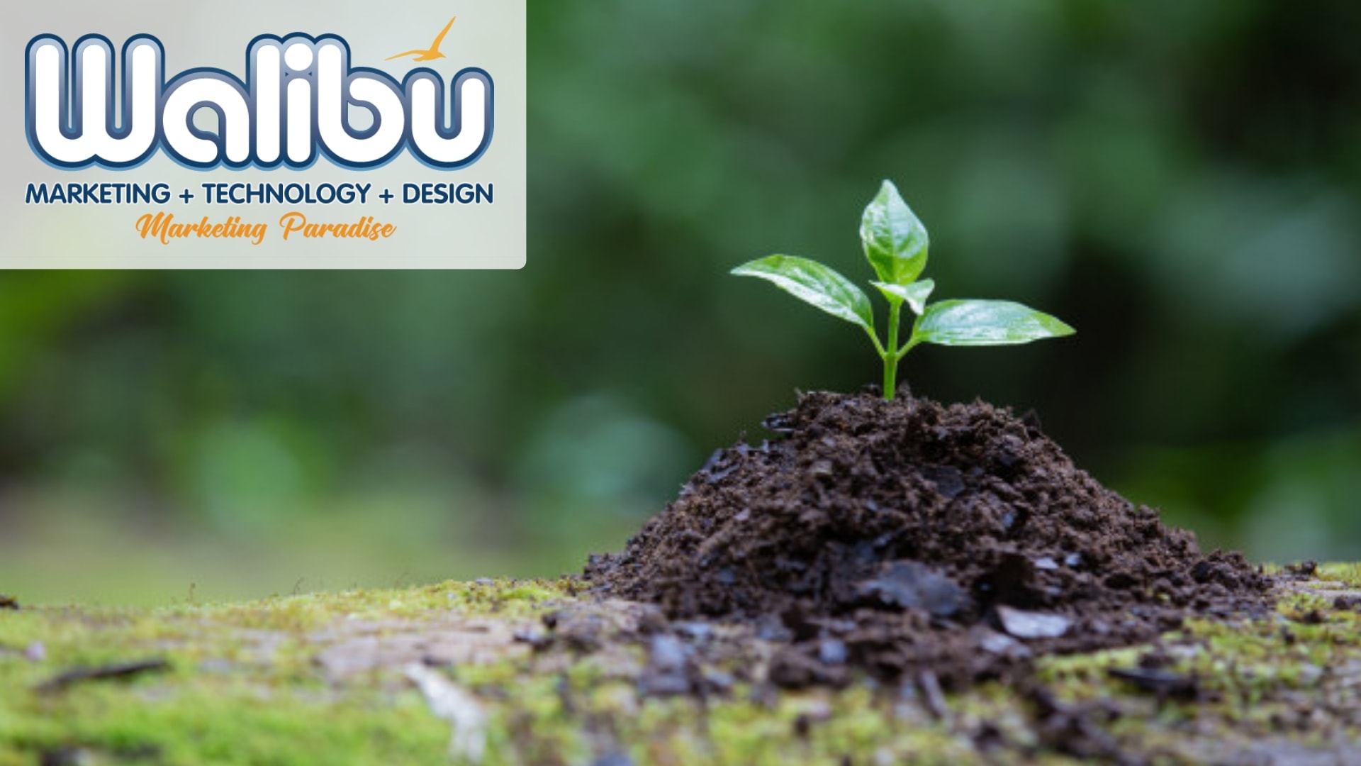 Creating Opportunities During COVID-19